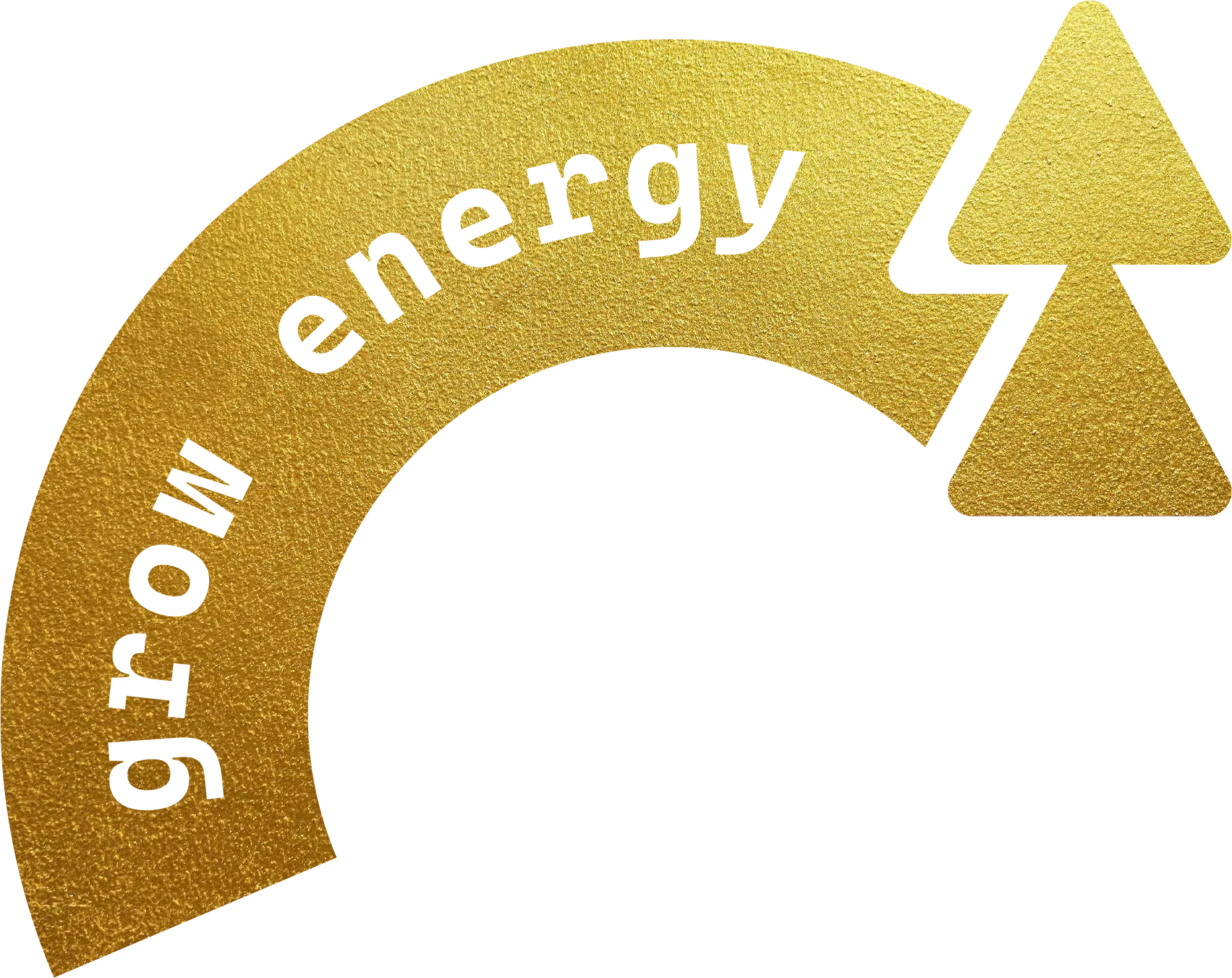 Gold circular emblem with a textured surface, featuring the words 'Energy Efficiency' curved along the top edge and a push button icon inside a triangle on the right side.