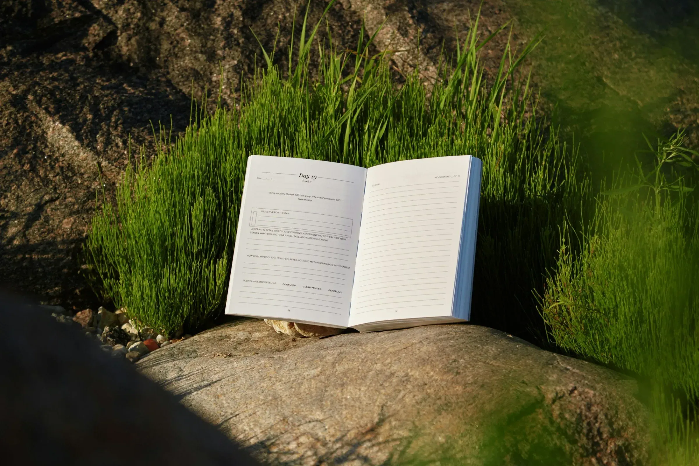 An open notebook resting on a flat rock among green grass and surrounded by rocks, with natural light illuminating the scene.